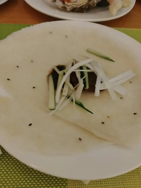 扁皮鴨