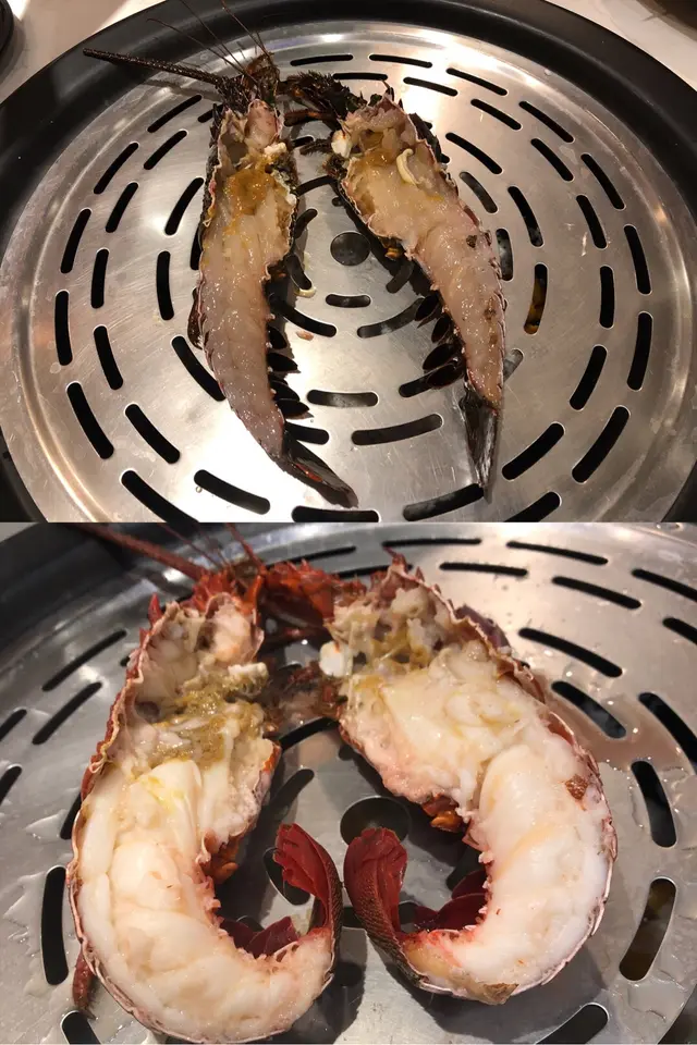 澳洲青年龍蝦