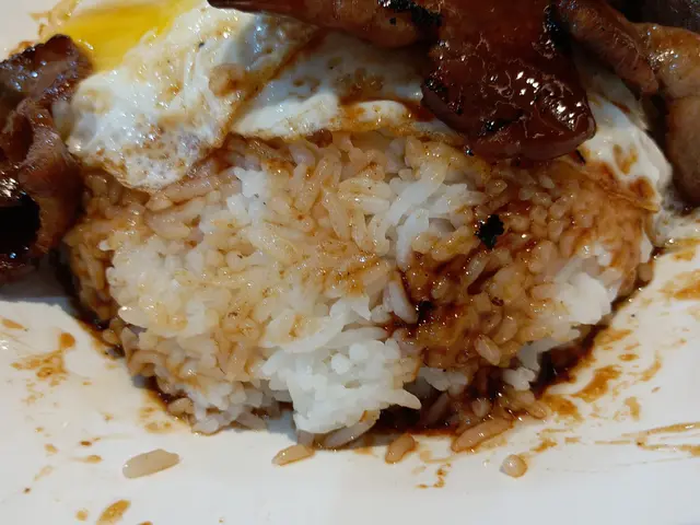 即烤黑毛豬叉燒大碗飯