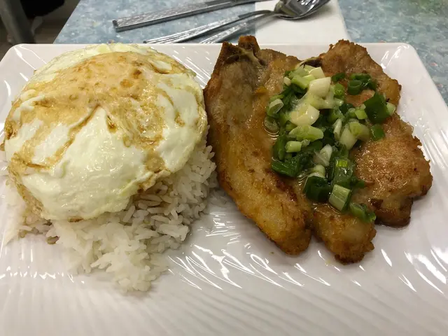 蔥油豬扒蛋飯