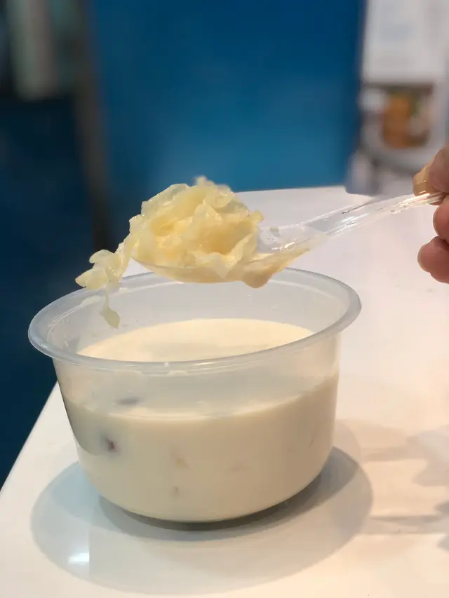 北海道特選牛乳燉花膠糖水