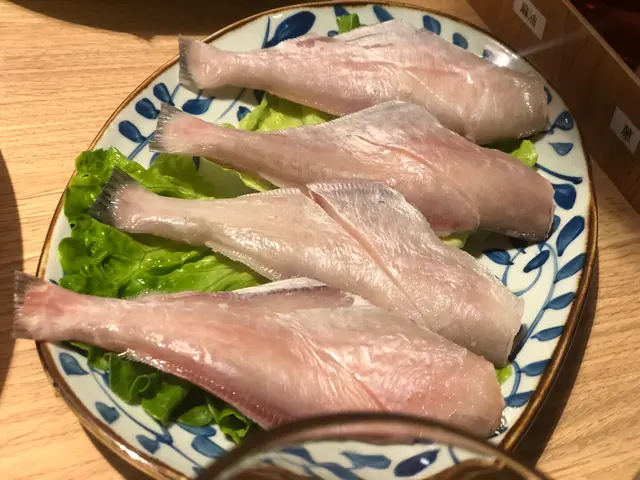 重慶耗兒魚
