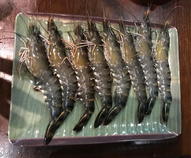 大蝦🦐好大隻，生猛到跳出黎