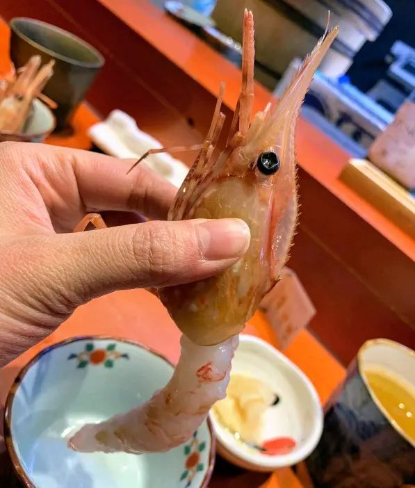 牡丹蝦