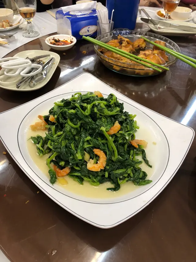 荳苗較粗,未全是胚芽