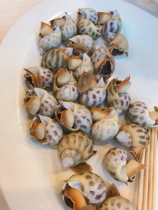 白灼東風螺