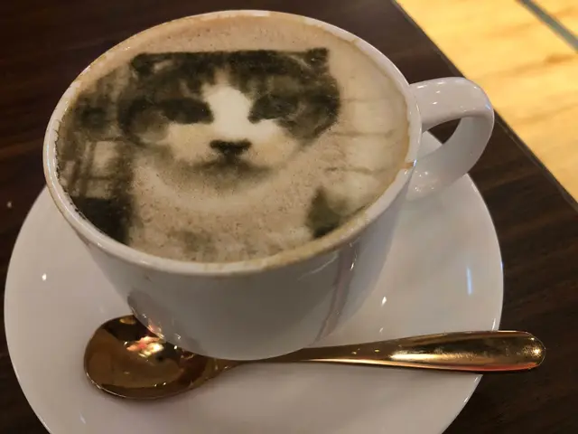 我整左我隻貓🐱嘅人像,
真係維肖維妙!
睇得又飲得,必試!👍🏾👍🏾👍🏾