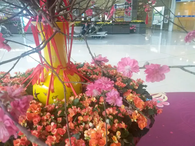 
機場今年的桃花非常靚