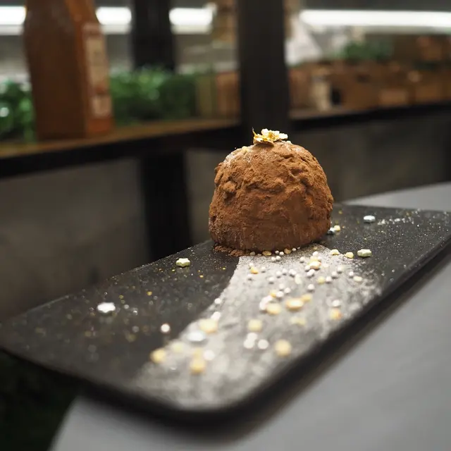 陪你去看流星雨