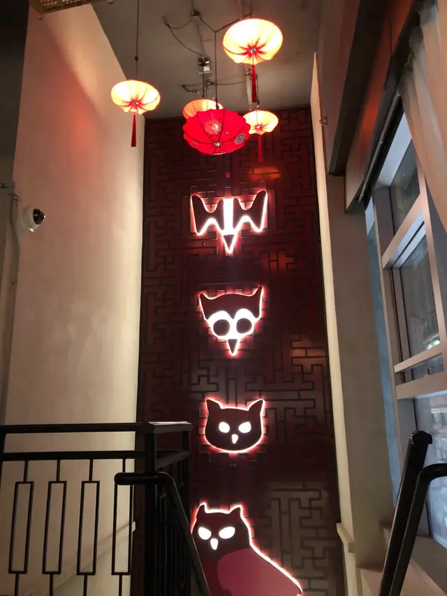 因為名叫夜梟所以有好多貓頭鷹？