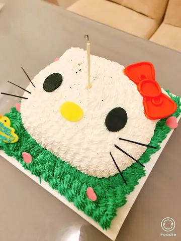 Hello kitty 3d cake 立体蛋糕