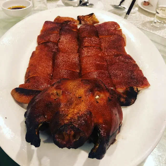 金豬全體大紅袍