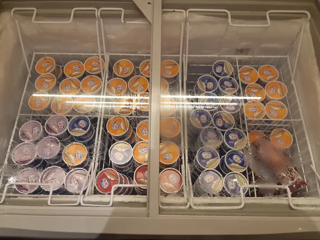 雪糕