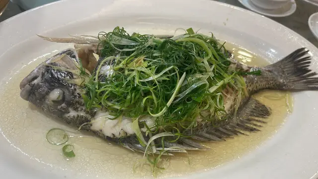清蒸海牛屎鱲魚
