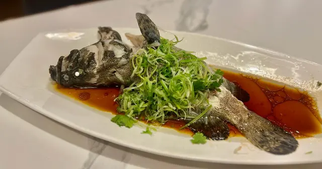 清蒸龍躉斑(約一斤)