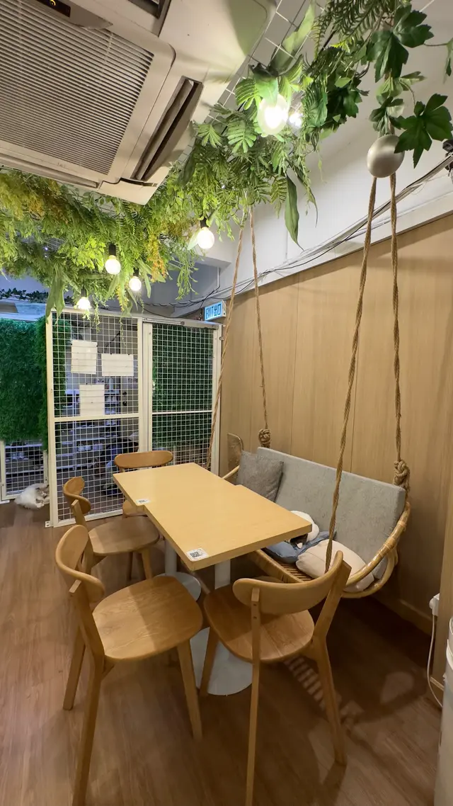 #貓啡 #hongkong #貓cafe #領養貓咪 #流浪貓 #Cafe #香港美食 #旺角 #旺角美食