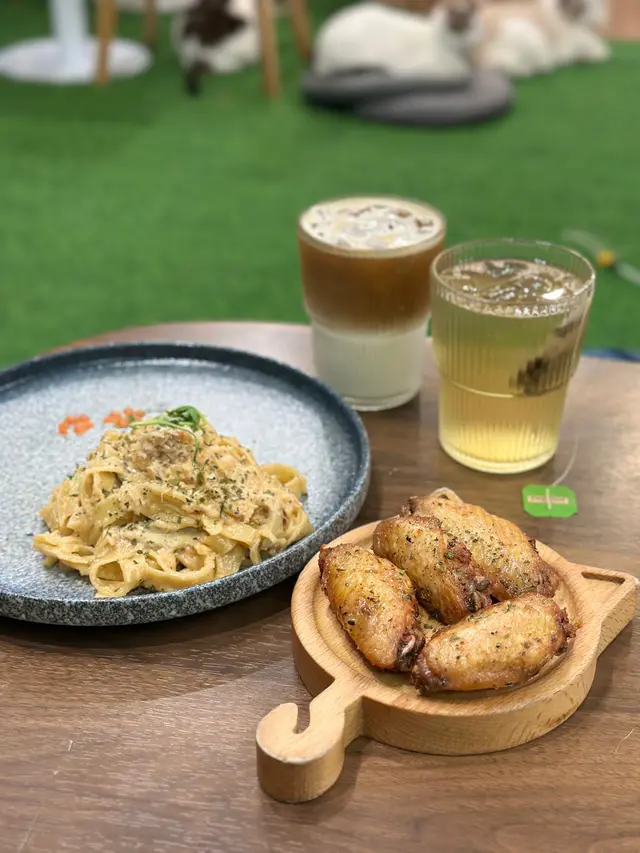 #貓啡 #hongkong #貓cafe #領養貓咪 #流浪貓 #Cafe #香港美食 #旺角 #旺角美食