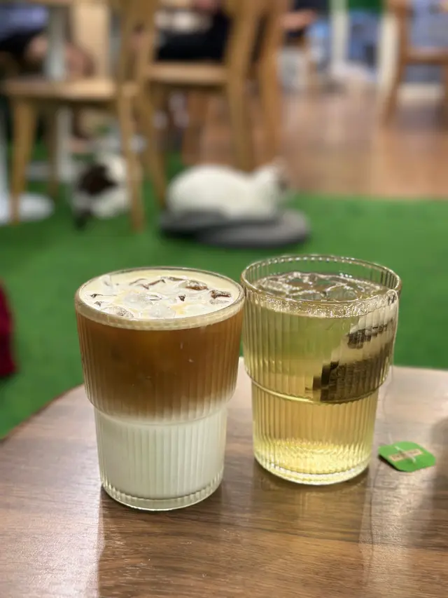 #貓啡 #hongkong #貓cafe #領養貓咪 #流浪貓 #Cafe #香港美食 #旺角 #旺角美食