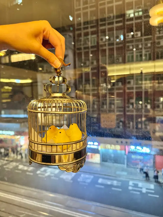 鴿吞鳳梨