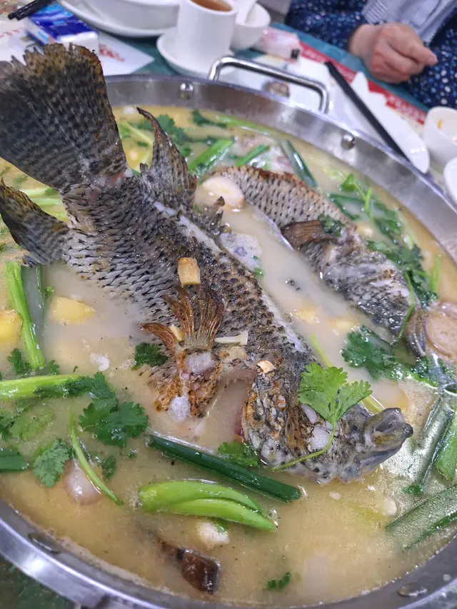 特式翅湯枱面蒸河鮮魚