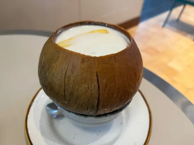 芒芒小丸子椰皇蛋白