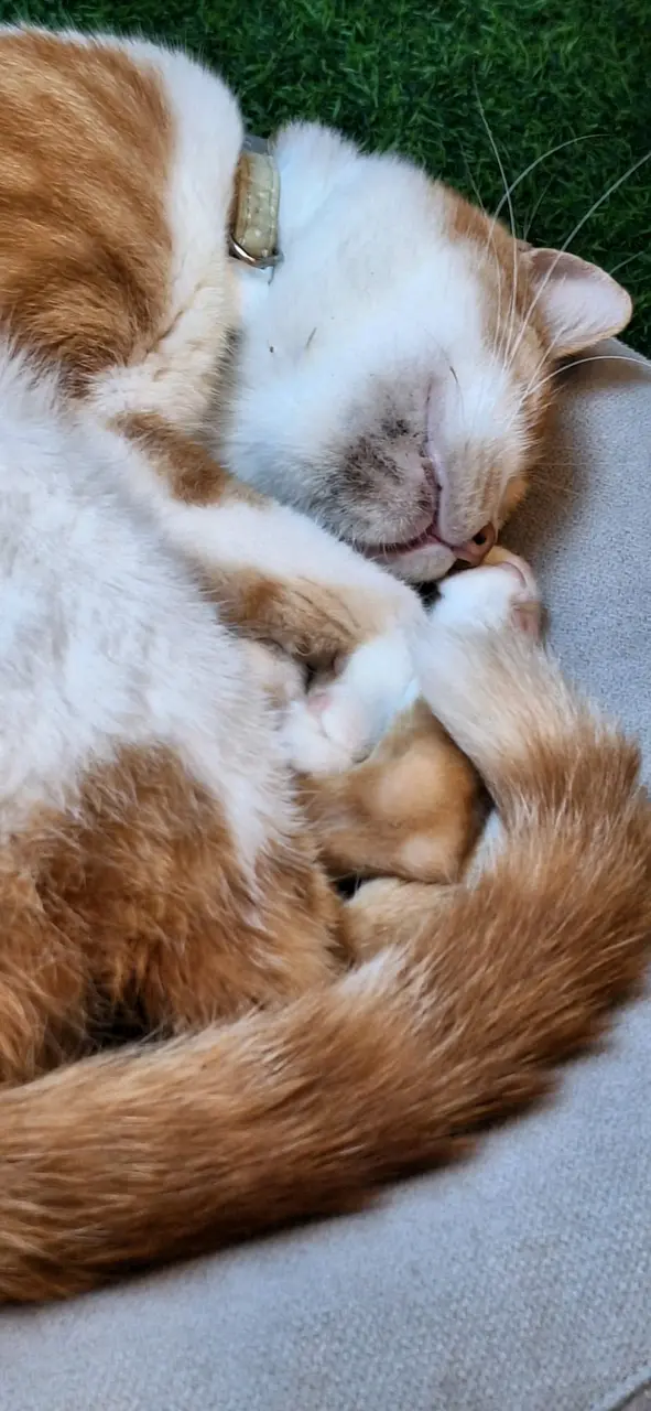 唔知點解無職員理