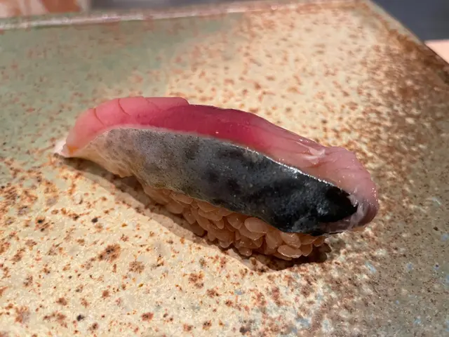 鯖魚