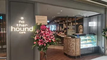 堂食单点餐牌 85 折 (不包括饮品及甜点）