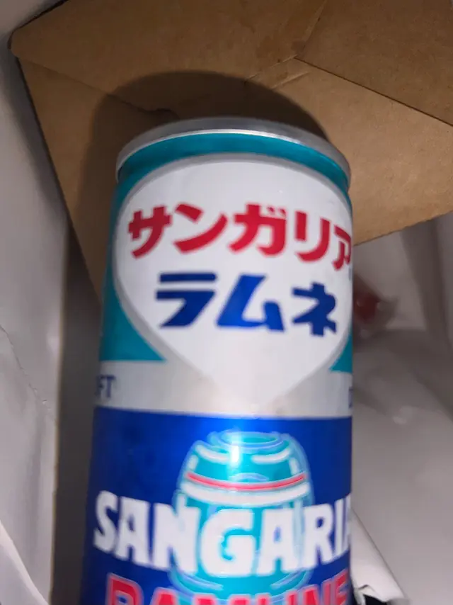 波子汽水,以為係比玻璃樽我,比罐裝我有咩意思?餐牌又唔寫清楚。
