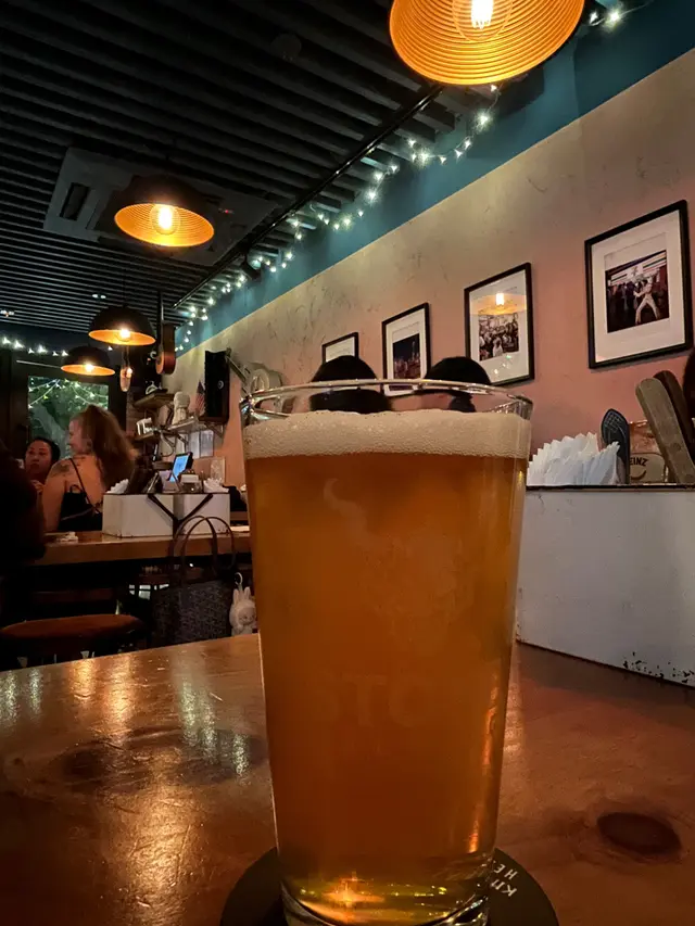MIKKELLER BURST IPA
