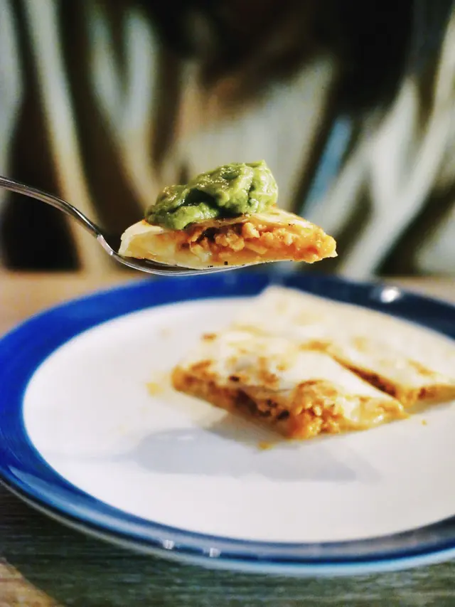 墨西哥雞肉夾餅