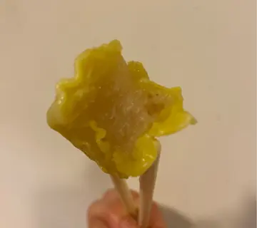 鯊魚肉燒賣