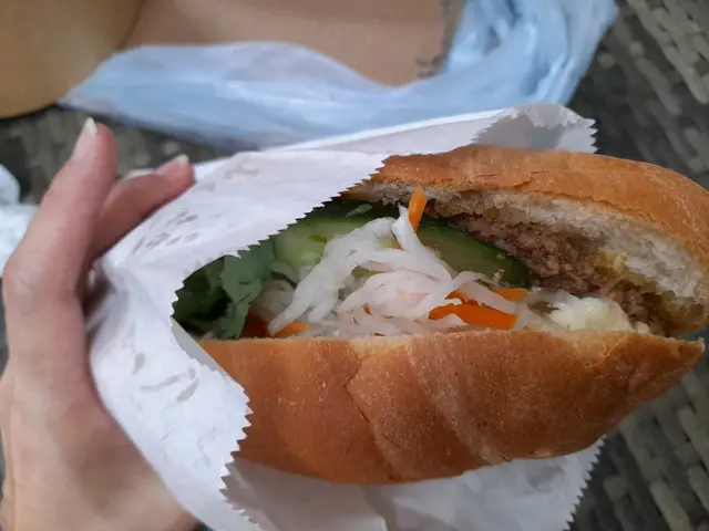 肉醬法包