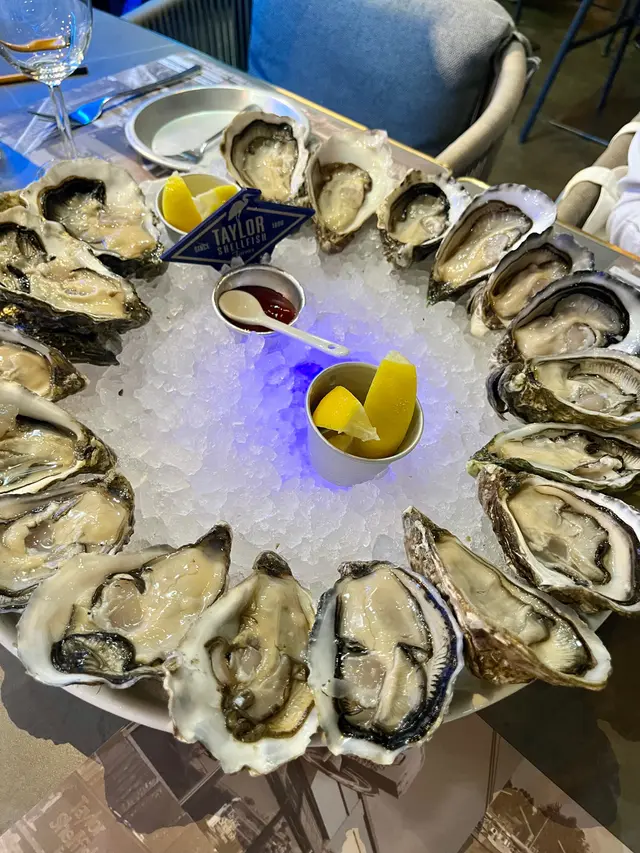 Oysters