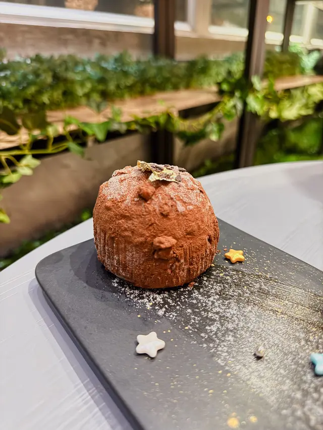 陪你去看流星雨