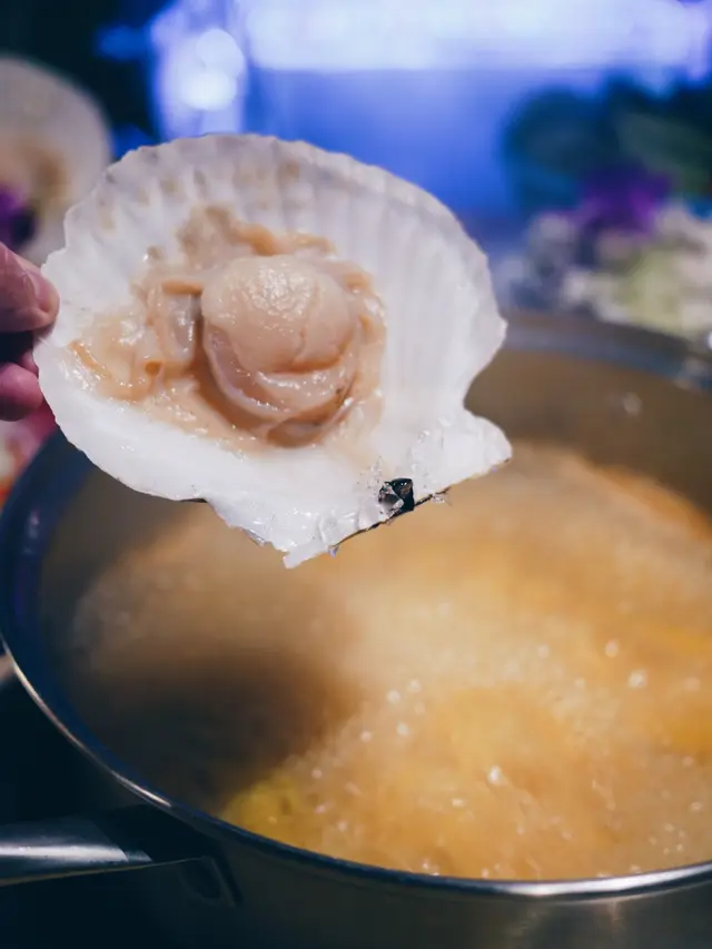 日本扇貝