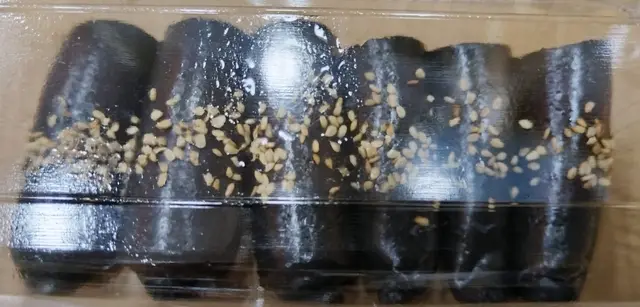 黑芝麻菲林卷
