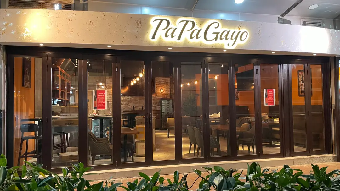 PaPaGayo
