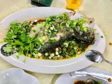 Steamed  grouper  