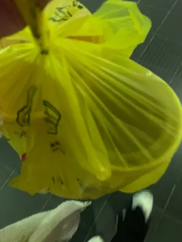 等左半个钟 绝对唔make sen se