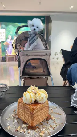 原本以为会好甜好腻,但试过之后甜度刚好,吐司四边亦焗得香脆,唔错!