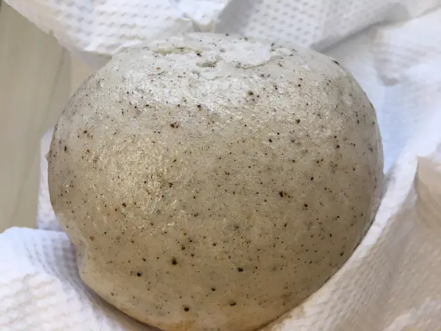 黑芝麻糖心包$6/1個