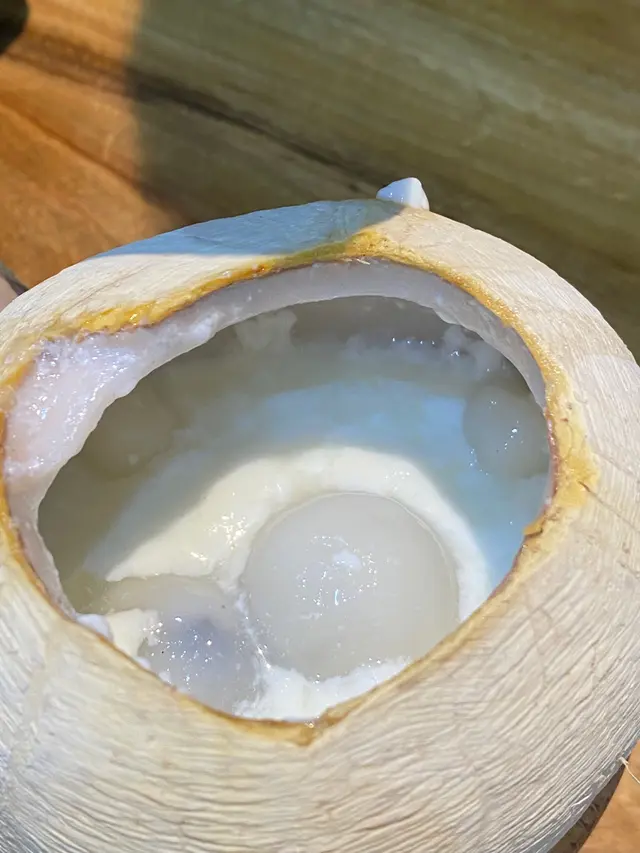 #椰皇燉蛋白 #椰皇 #燉蛋白