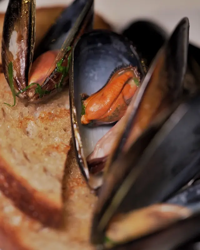 𝘔𝘶𝘴𝘴𝘦𝘭𝘴 青口