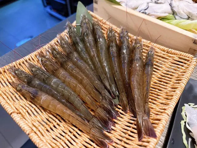 米埔野生游水海蝦