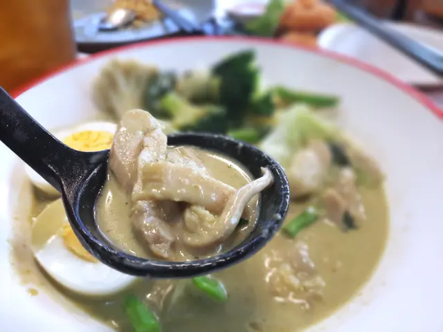 手打青咖喱雞肉米線