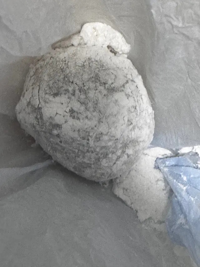 花生糯米糍