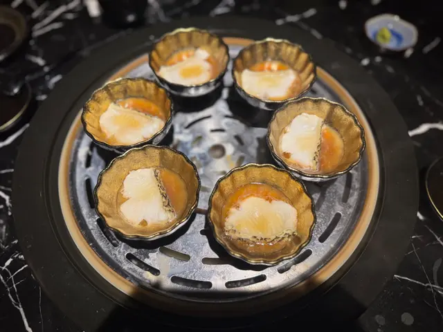 法國野生深海白鱈魚