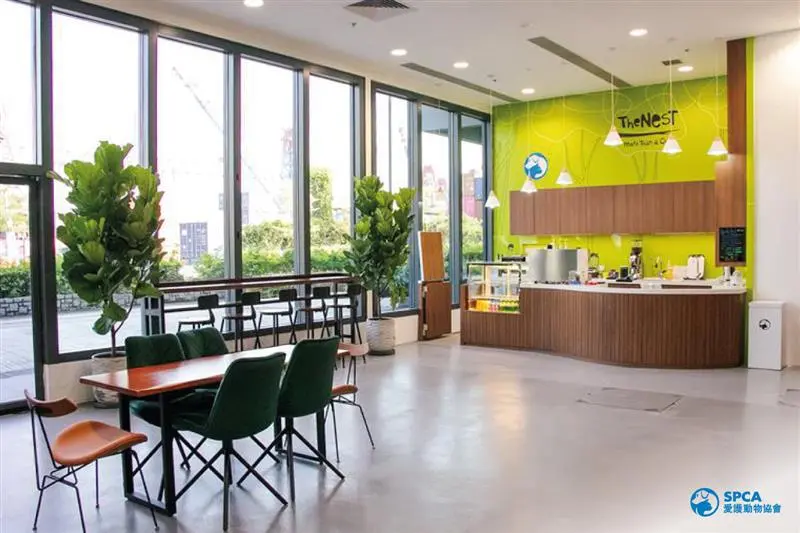 The Nest Coffee Shop