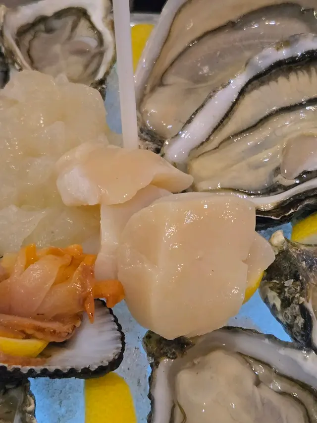 北海道帶子